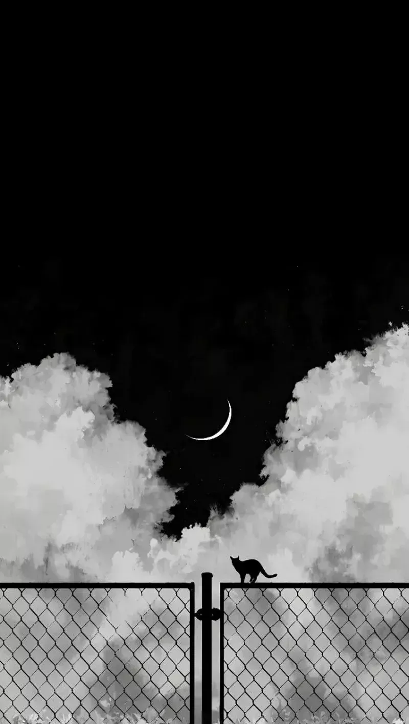 hình nền màu đen 1