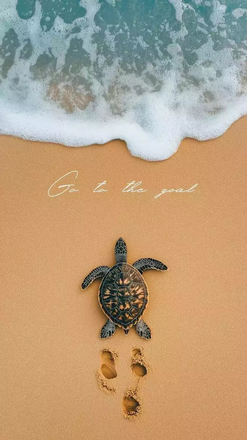 hình nền biển 13