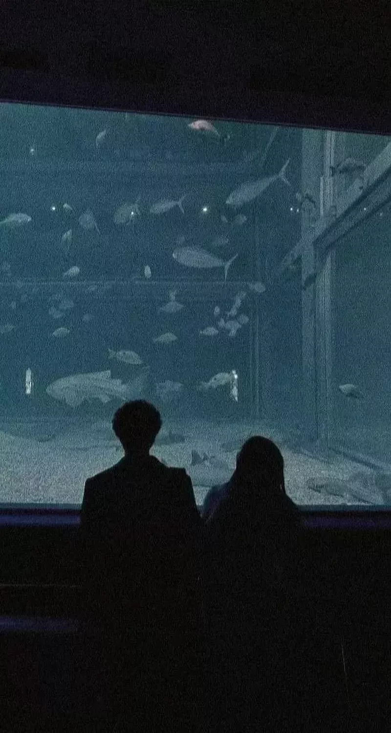 hình nền tình yêu 1