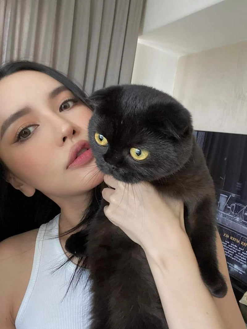 hình nền bích phương 30