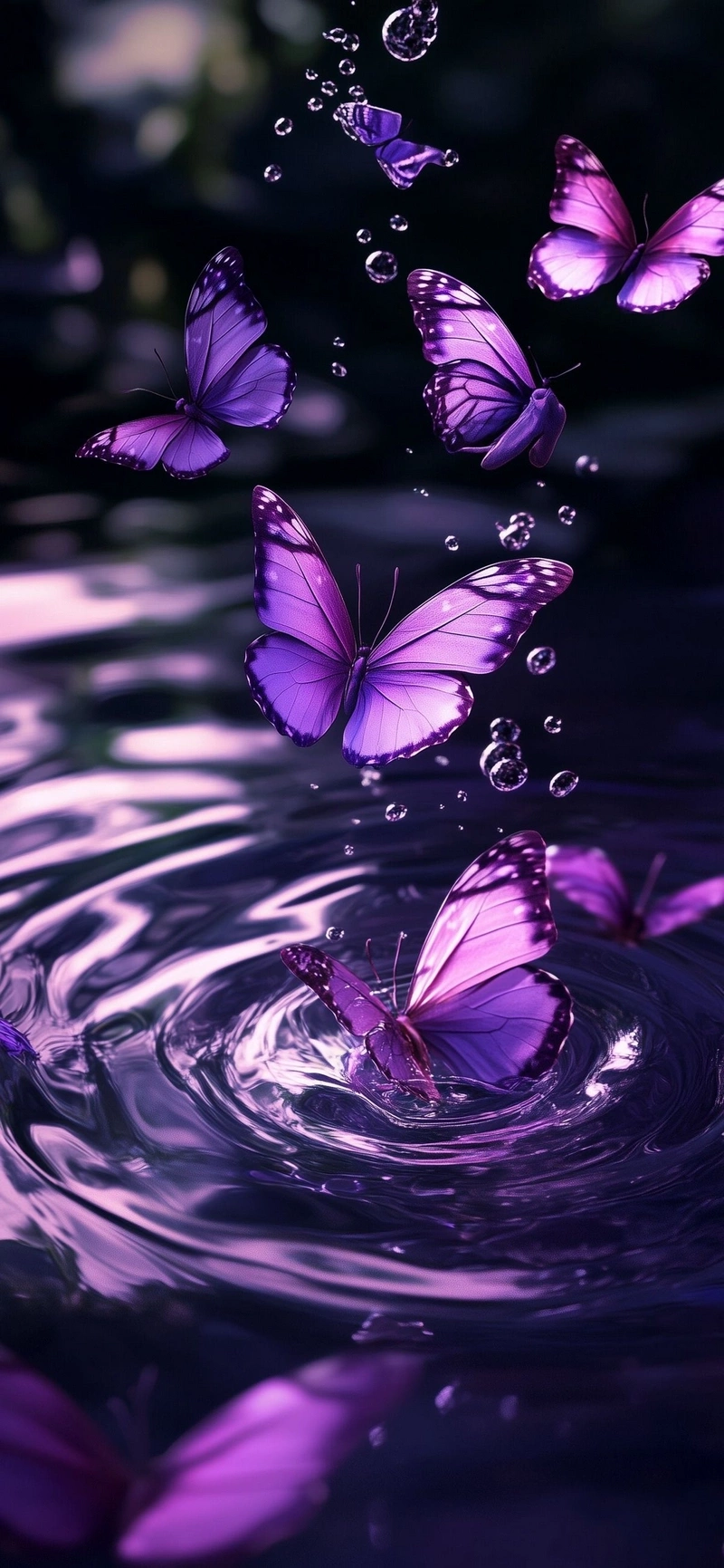 hình nền bướm 3