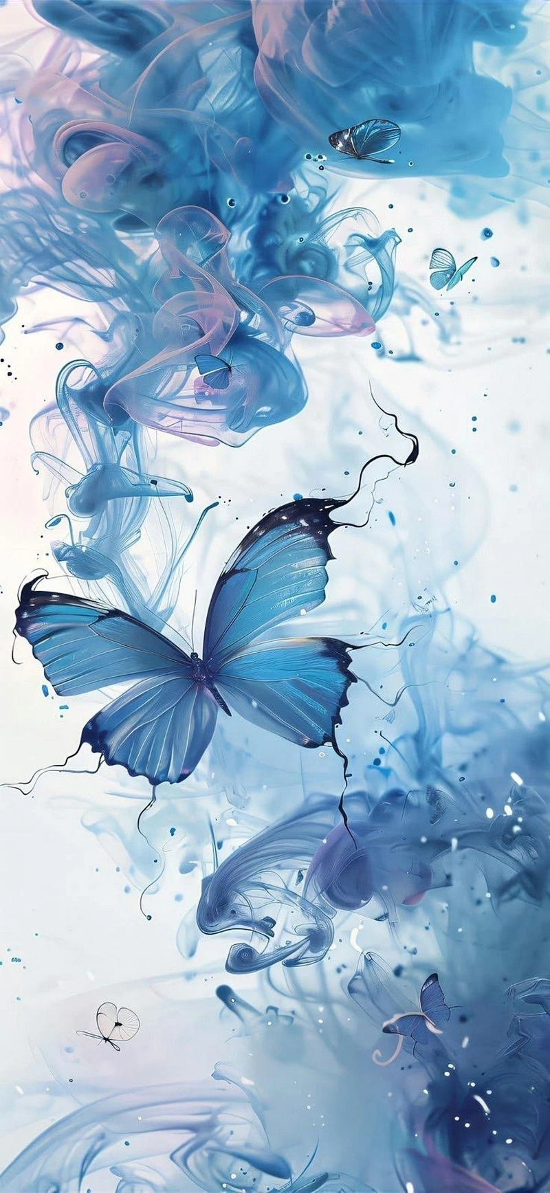 hình nền bướm 40