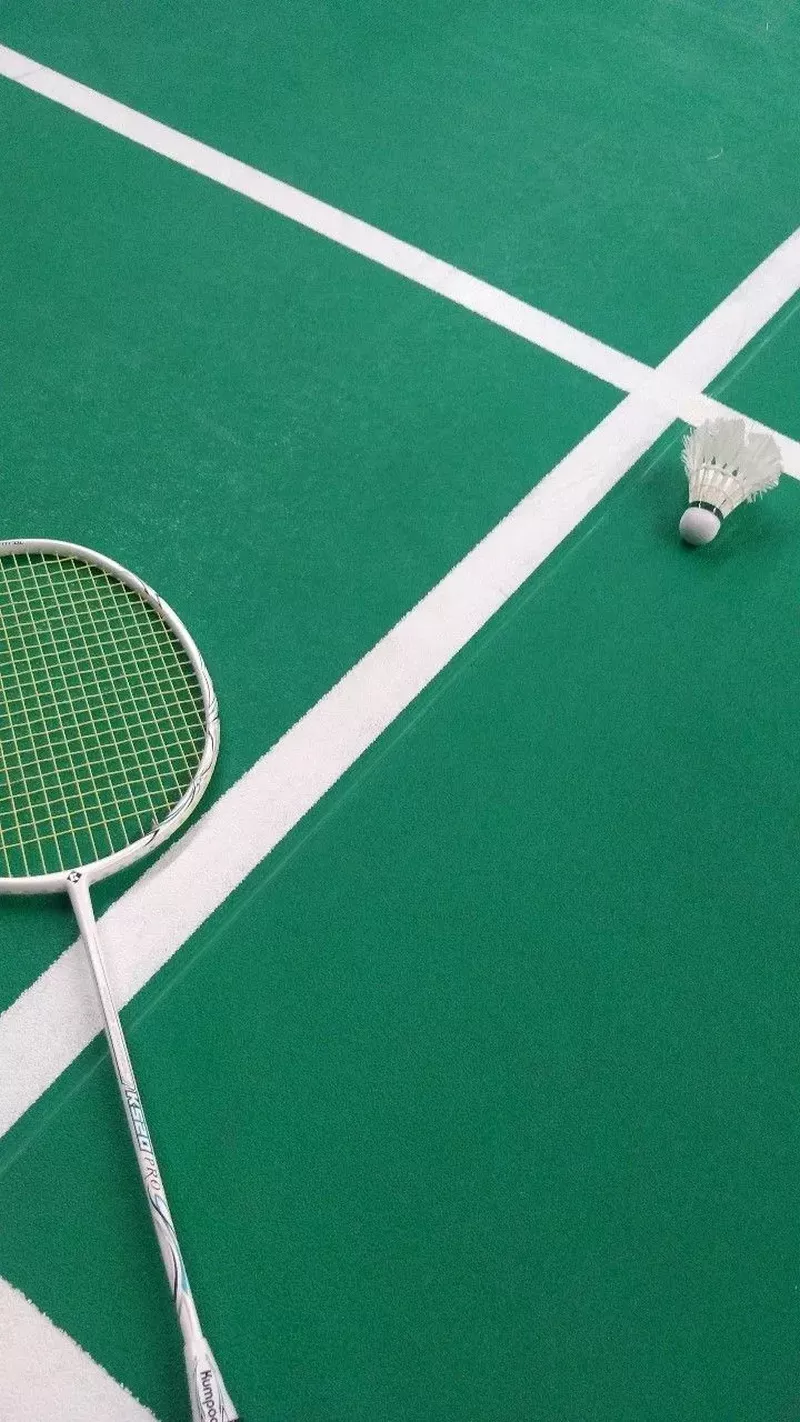 hình nền cầu lông 11