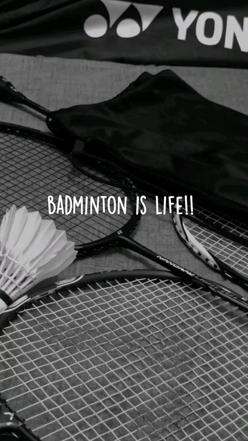 hình nền cầu lông 12