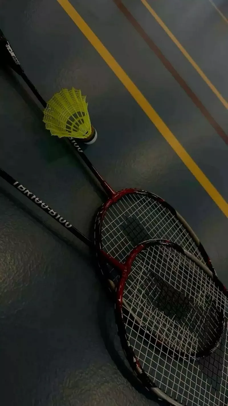 hình nền cầu lông 25