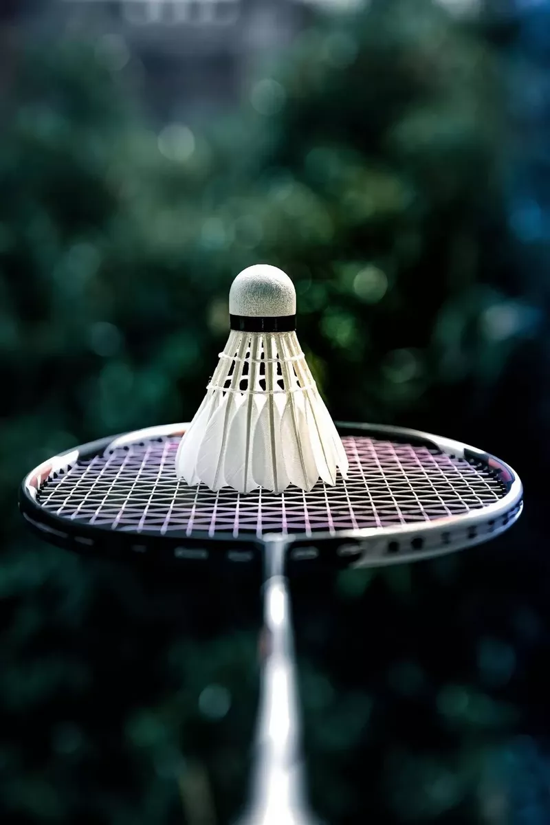 hình nền cầu lông 37