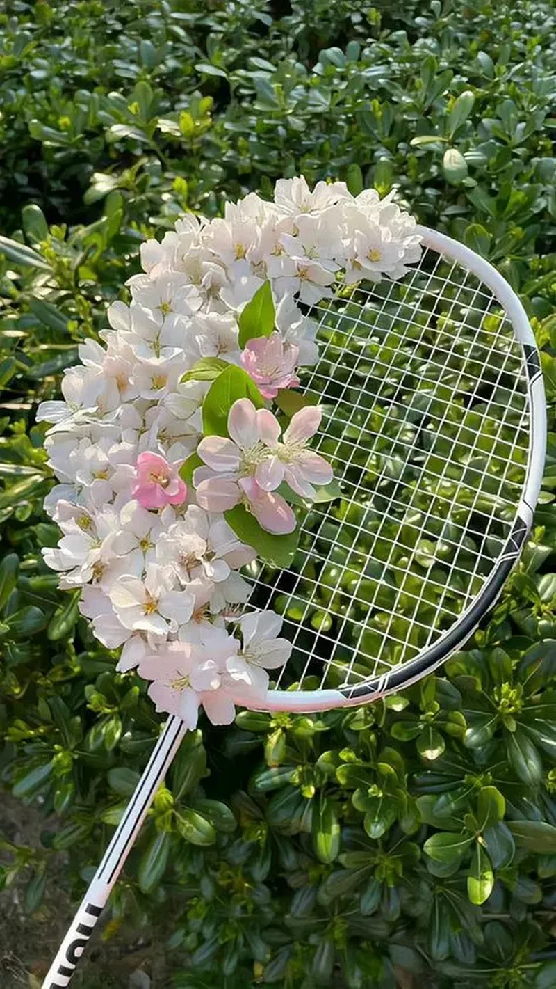 hình nền cầu lông 6