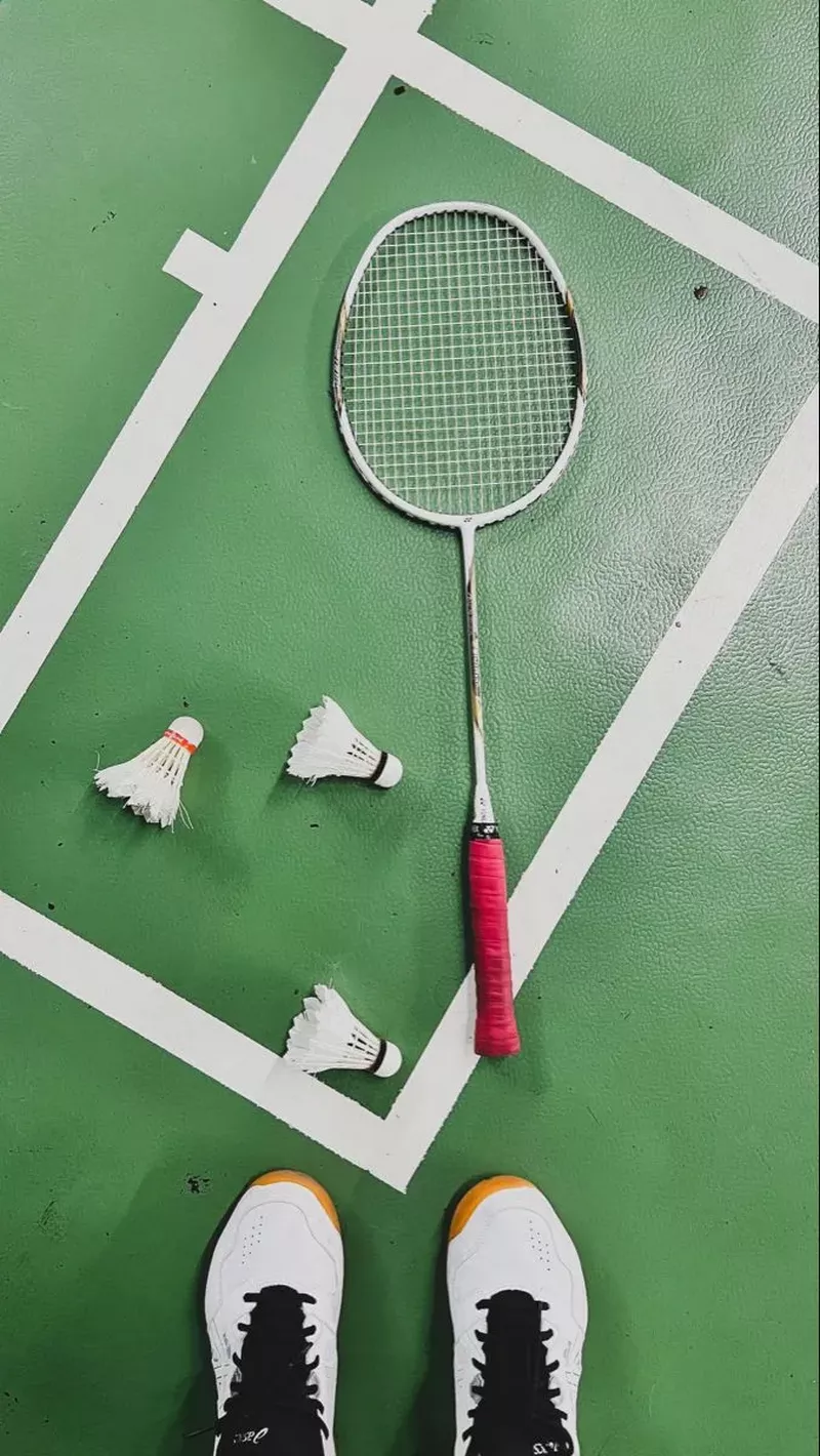 hình nền cầu lông 8
