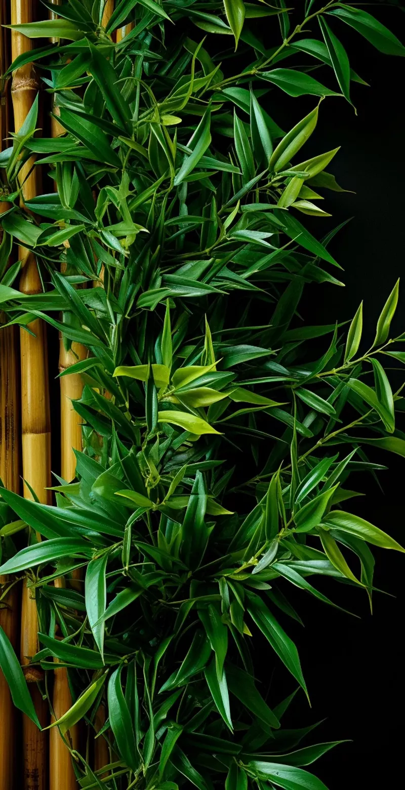 hình nền cây xanh 24