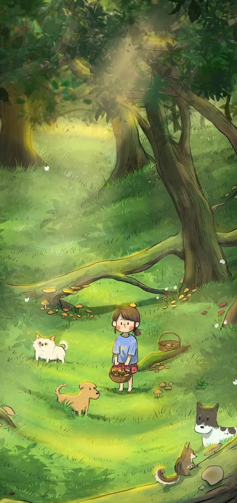 hình nền cây xanh 26