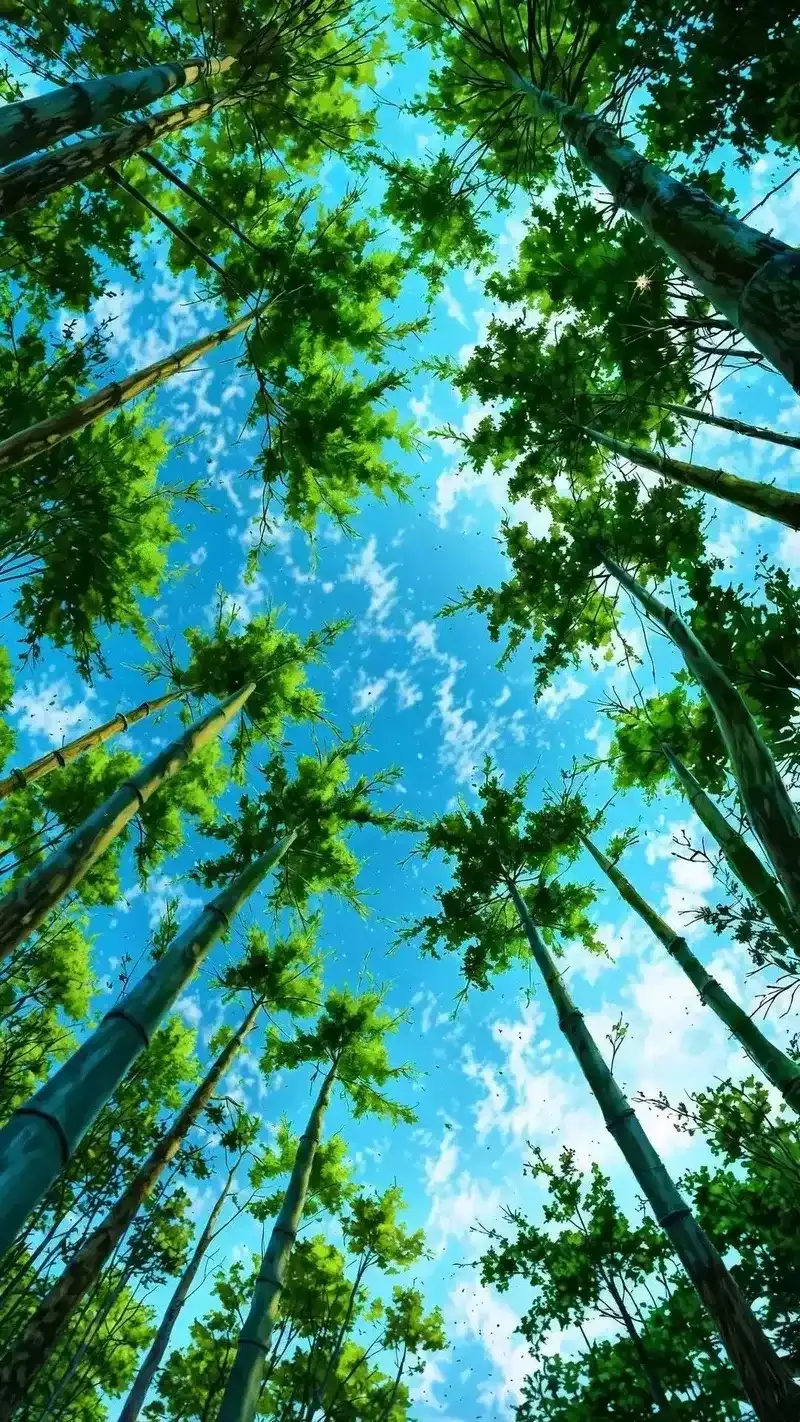 hình nền cây xanh 48