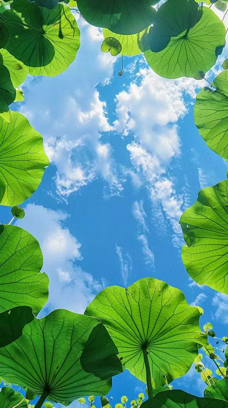 hình nền cây xanh 8