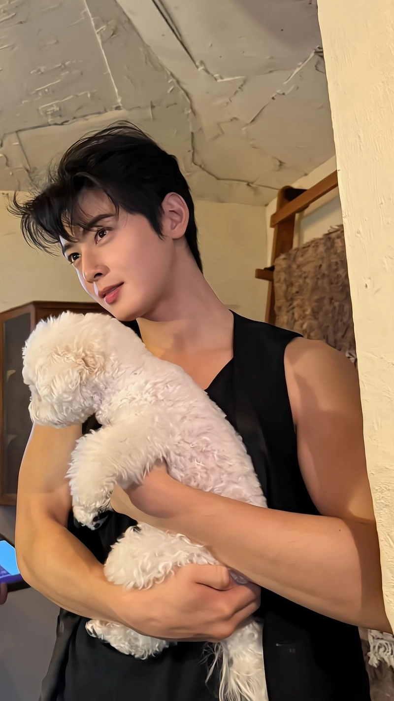 hình nền cha eun woo 1