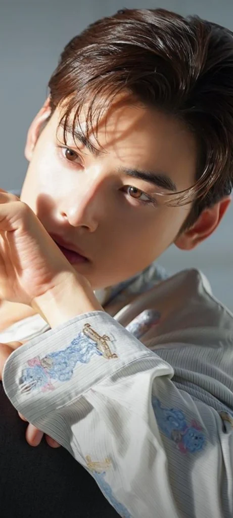 hình nền cha eun woo 17