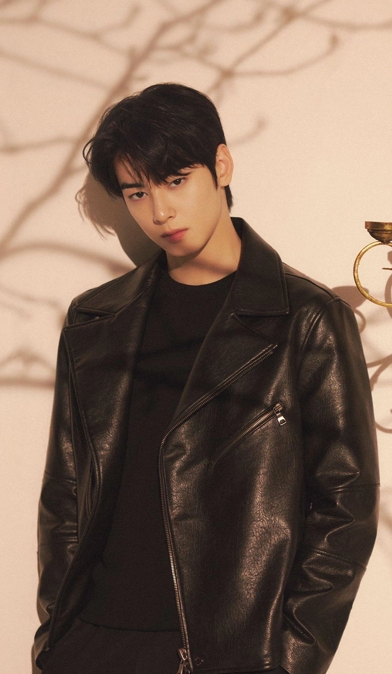 hình nền cha eun woo 29