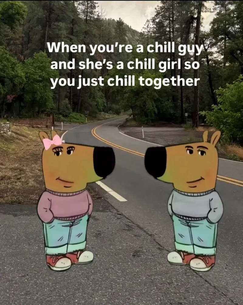 hình nền chill guy 11