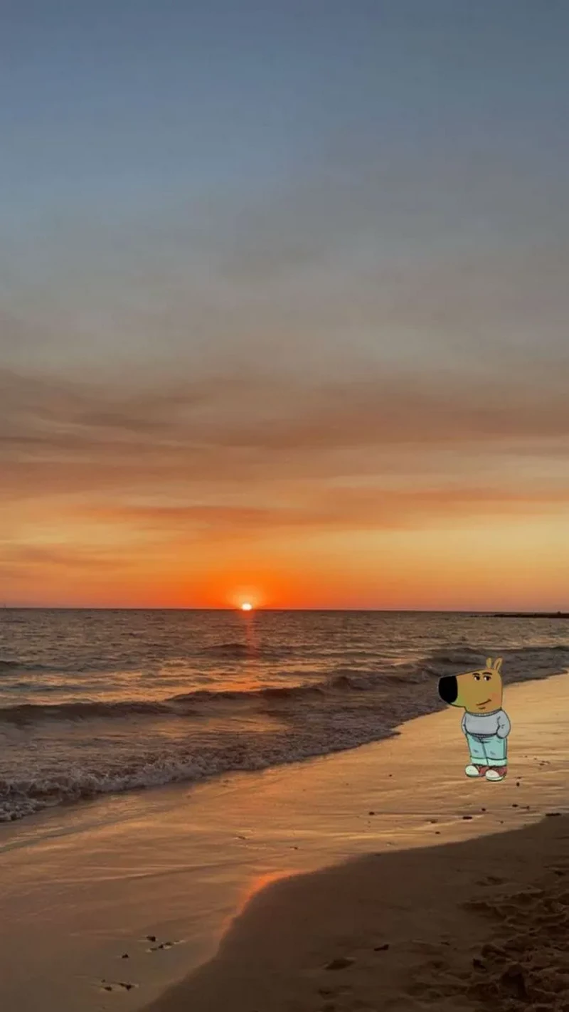 hình nền chill guy 27