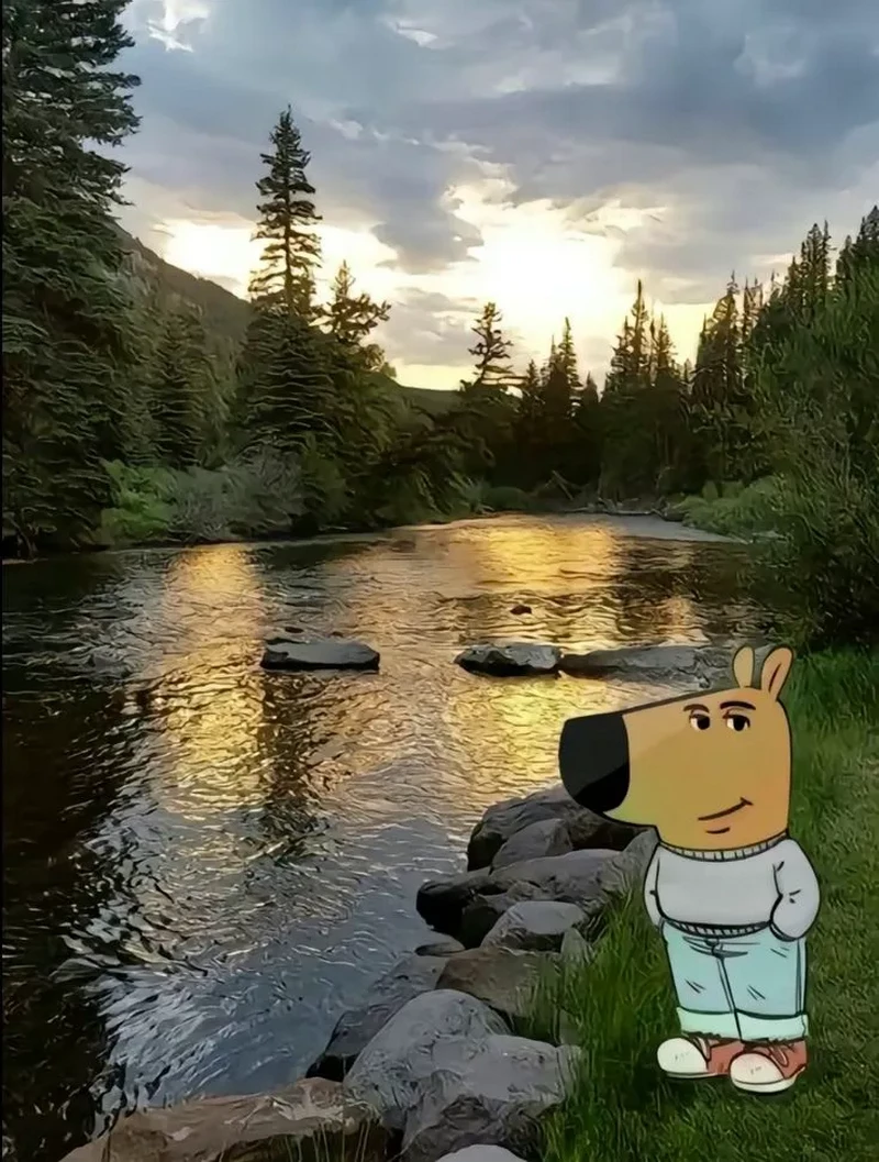 hình nền chill guy 31