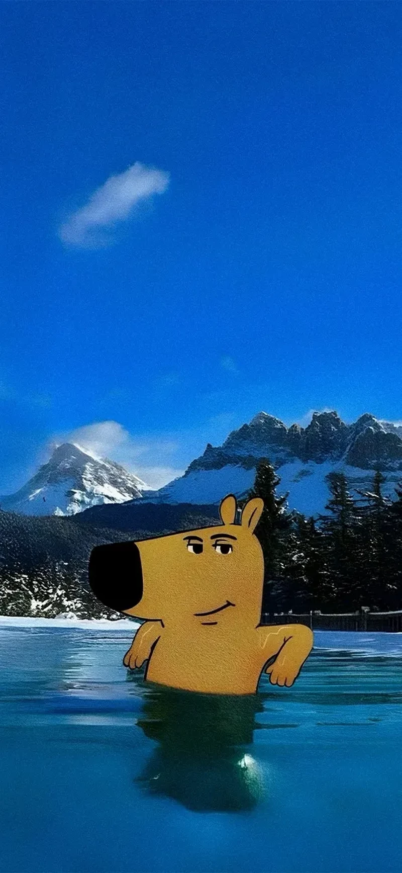 hình nền chill guy 35