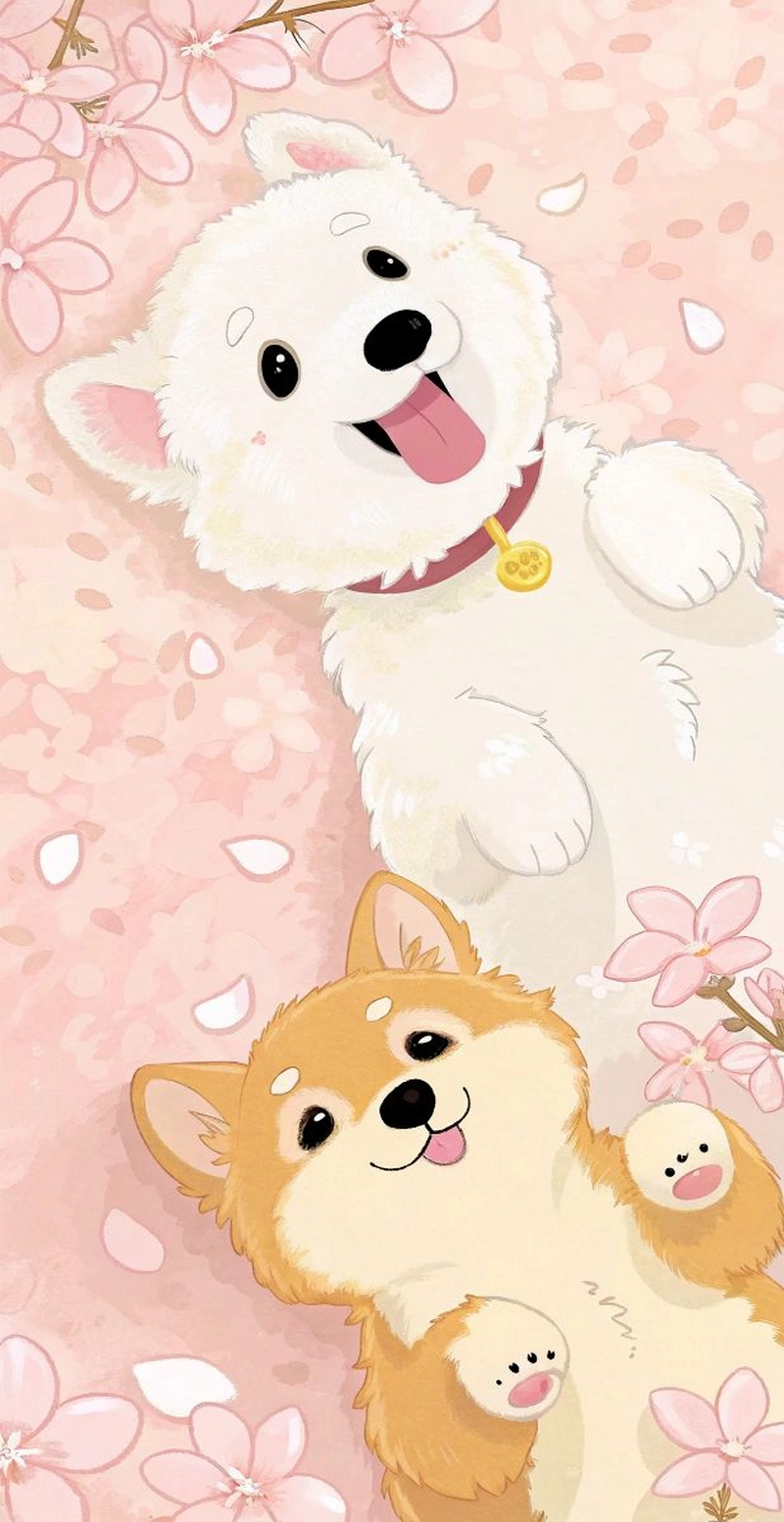 hình ảnh con chó cute 40