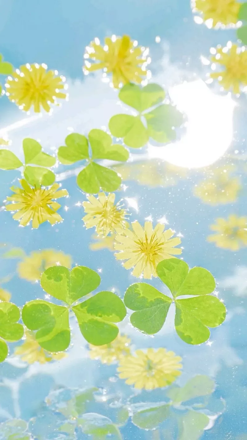 hình nền cỏ 4 lá 10