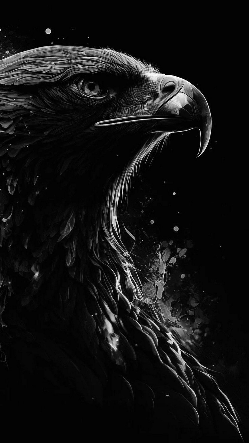 hình ảnh đại bàng 29