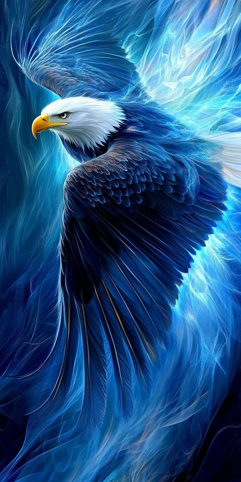 hình ảnh đại bàng 44