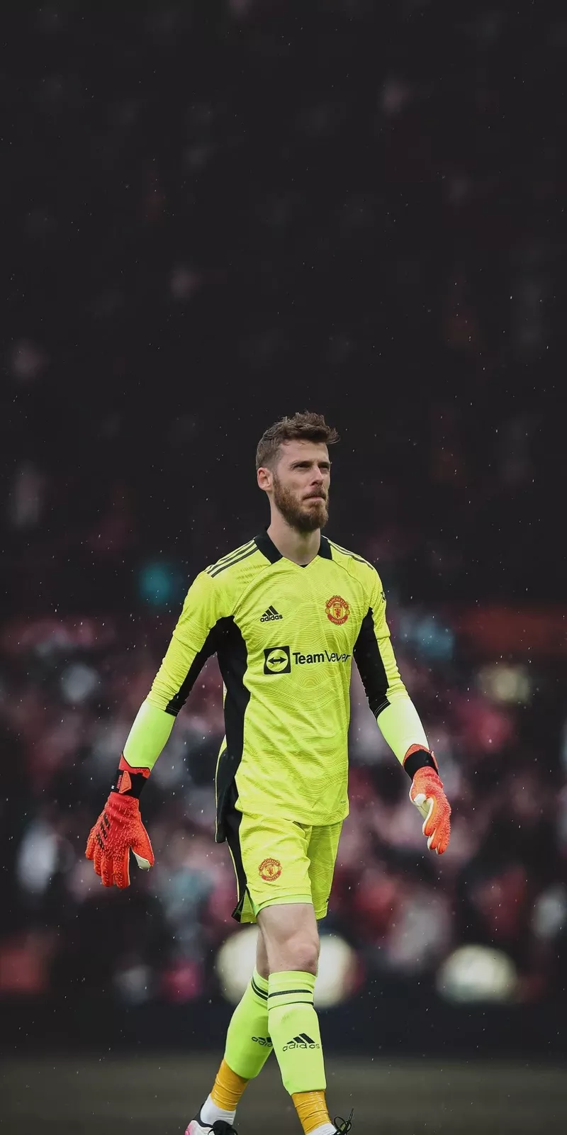 hình nền de gea 11