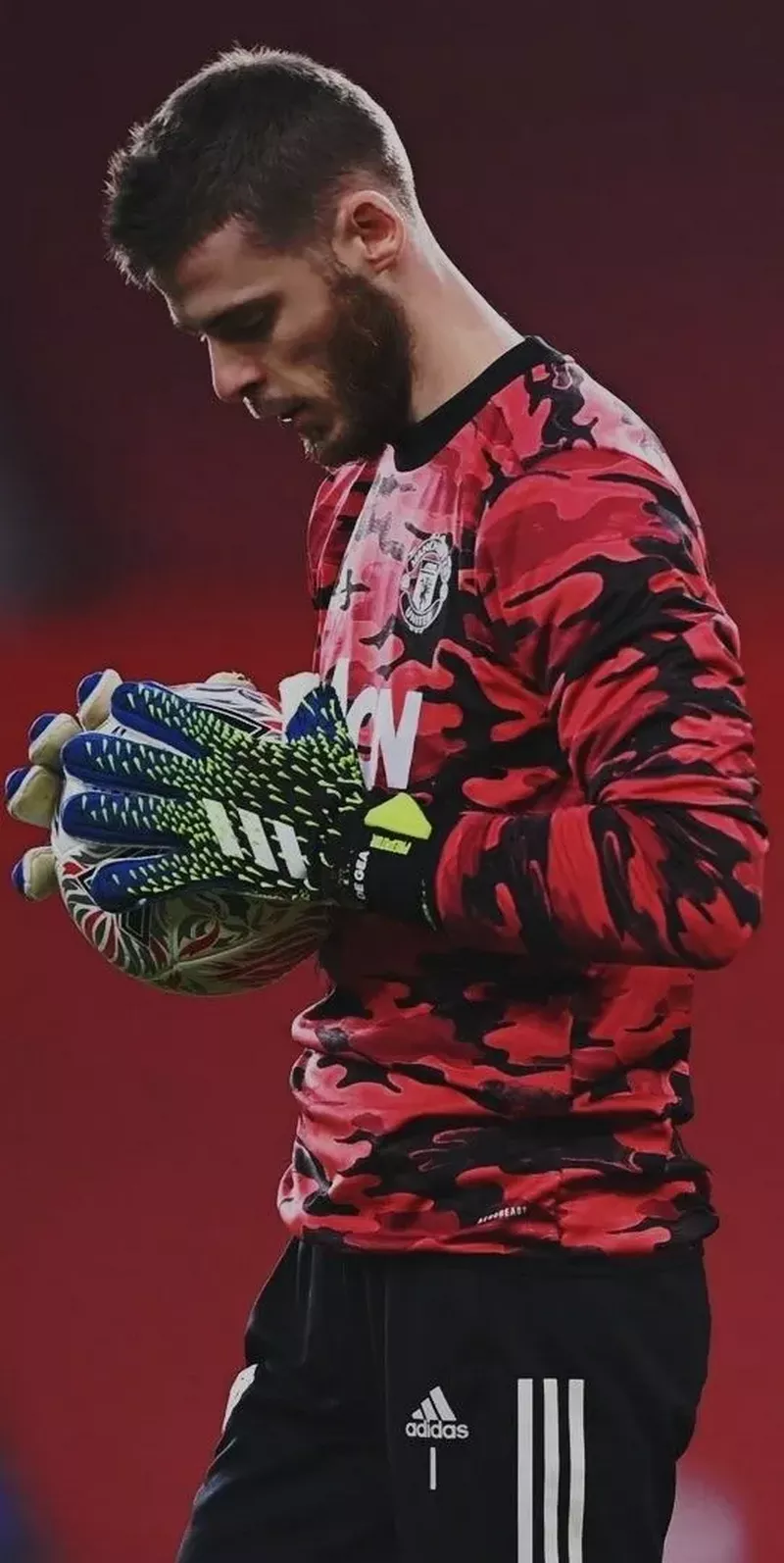 hình nền de gea 12