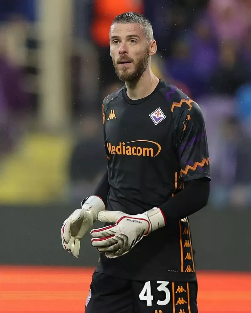 hình nền de gea 13