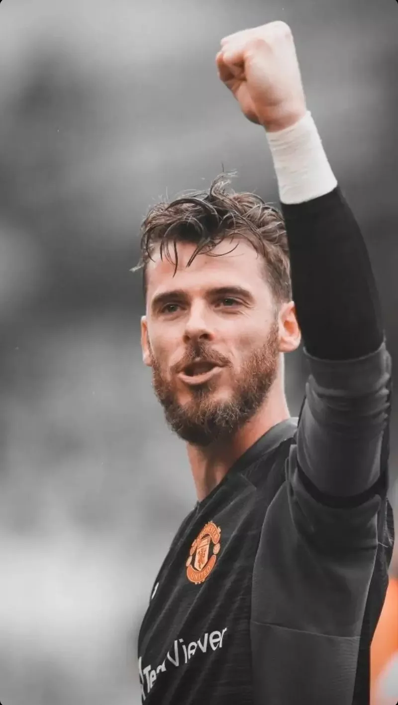 hình nền de gea 15