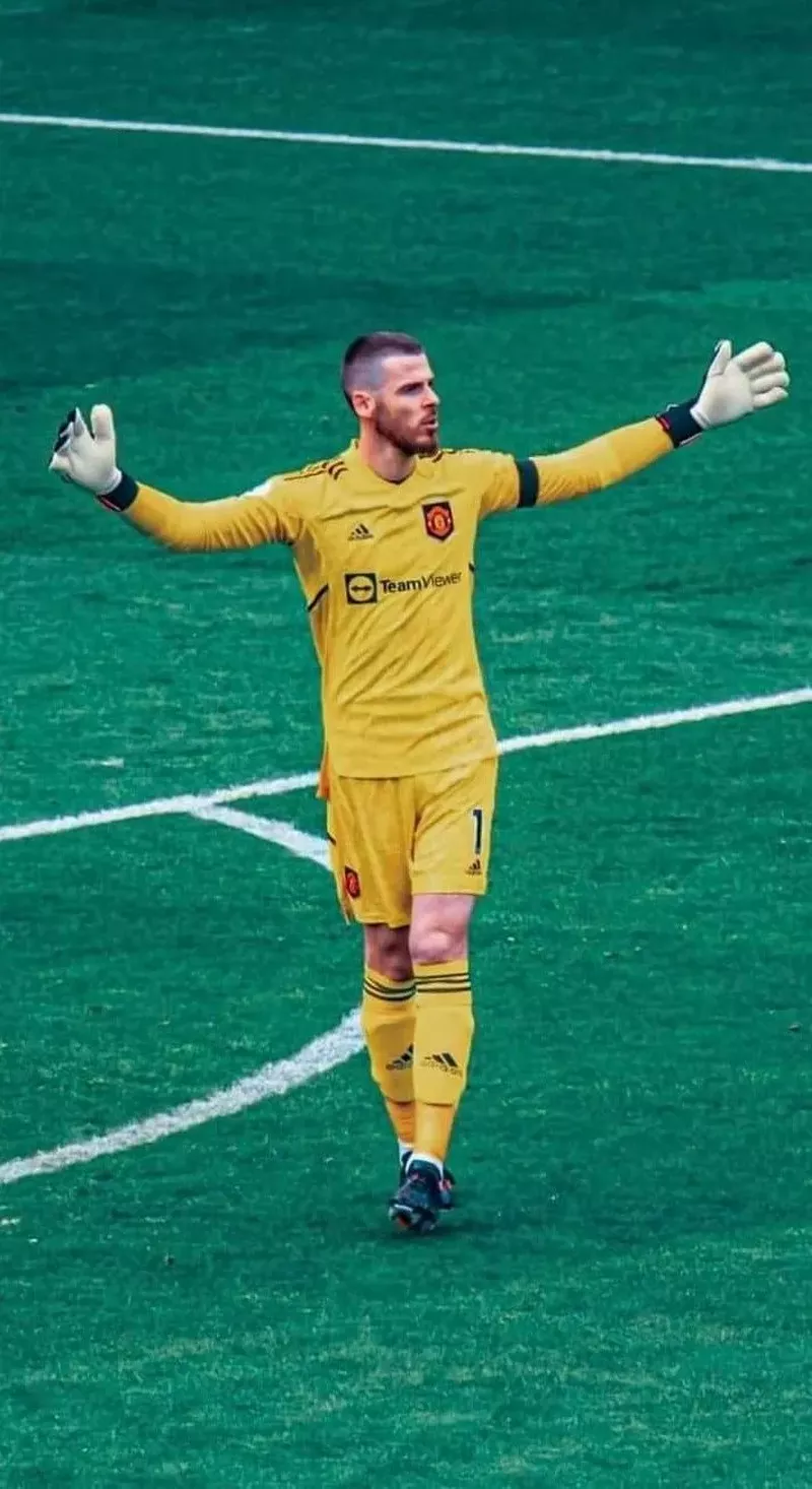 hình nền de gea 16