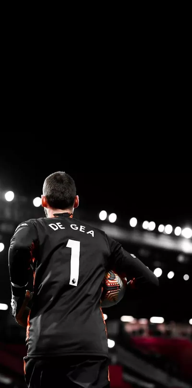 hình nền de gea 22