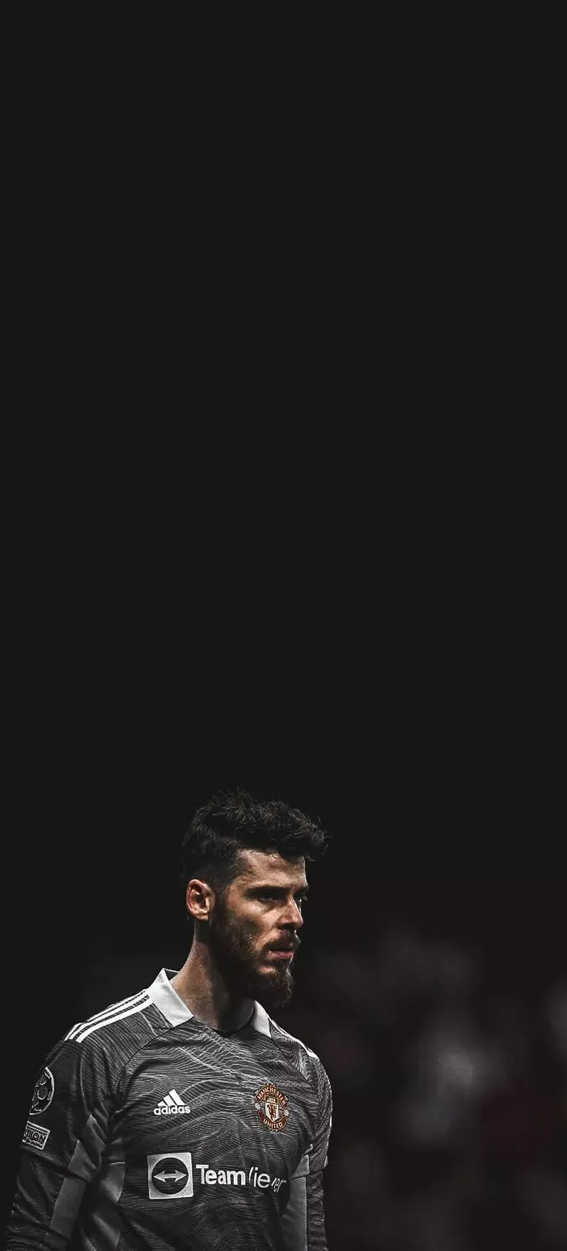 hình nền de gea 24