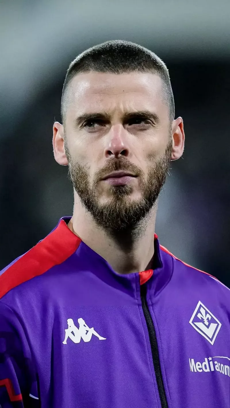 hình nền de gea 26