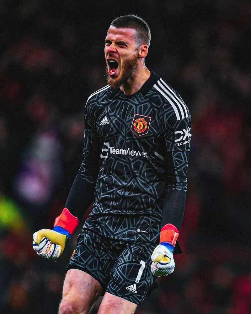hình nền de gea 28