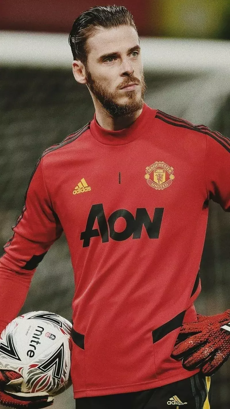 hình nền de gea 30