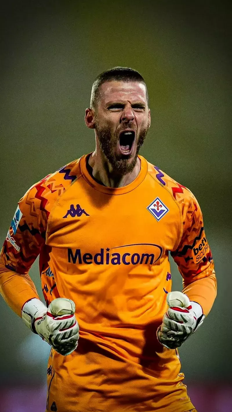 hình nền de gea 33