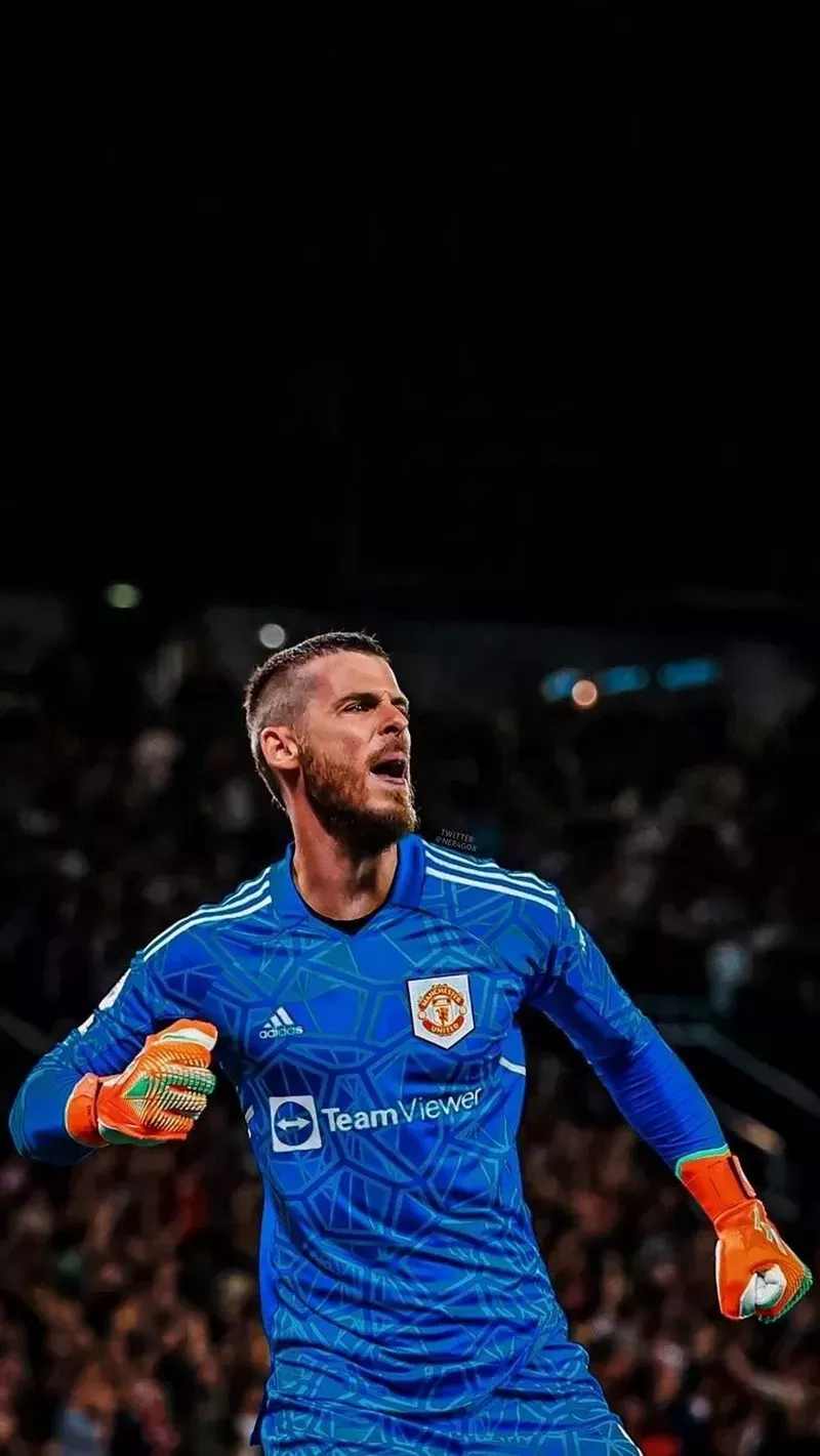 hình nền de gea 34