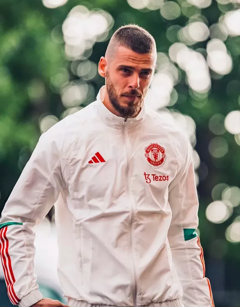 hình nền de gea 36