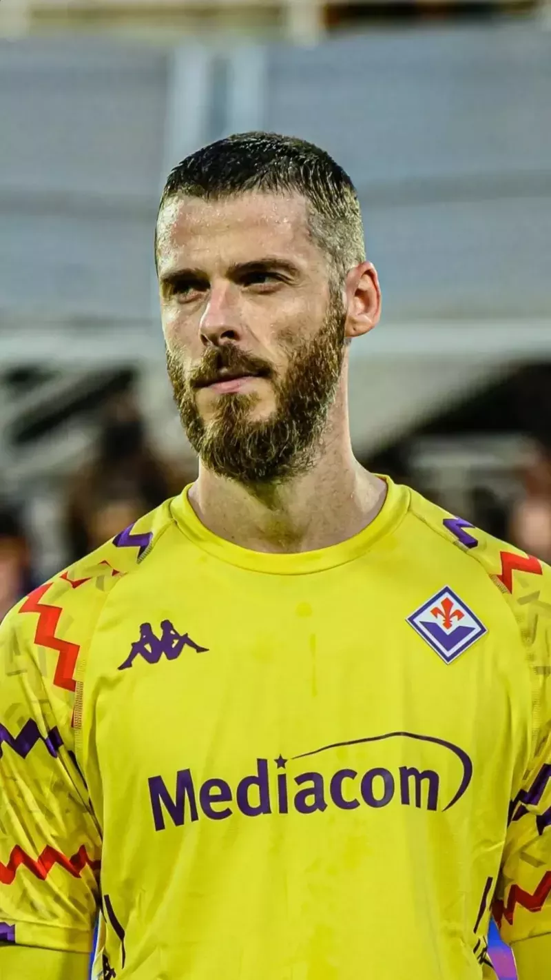hình nền de gea 4