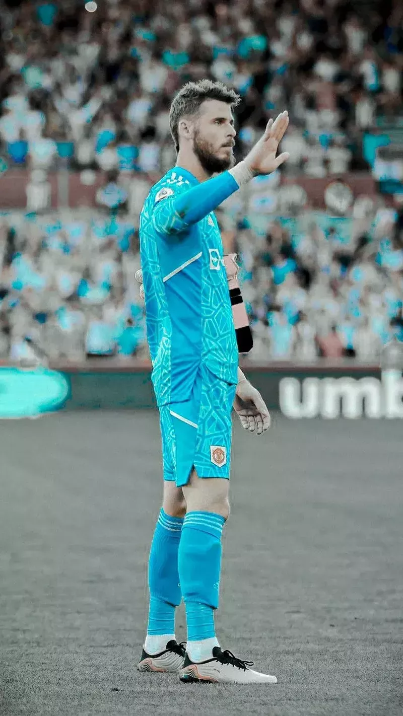 hình nền de gea 40