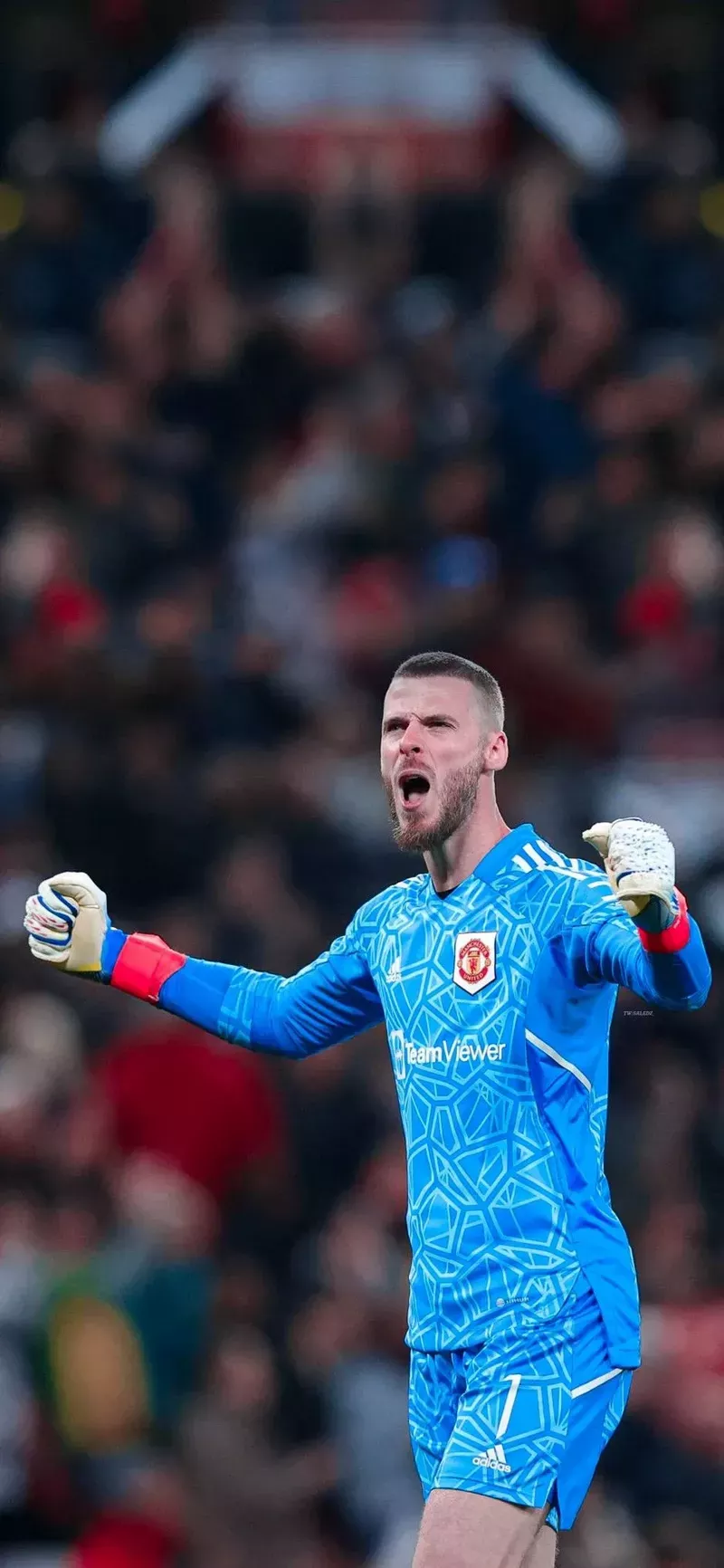 hình nền de gea 43