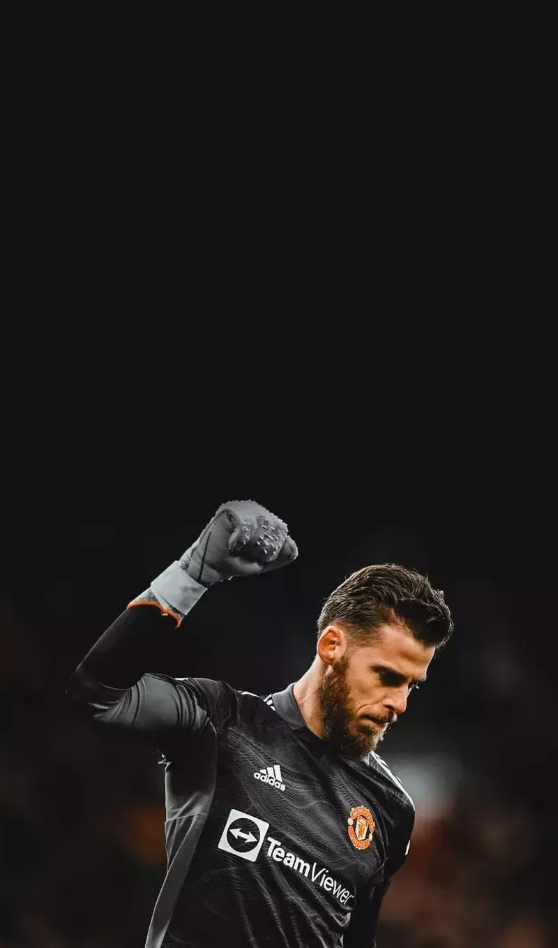 hình nền de gea 44