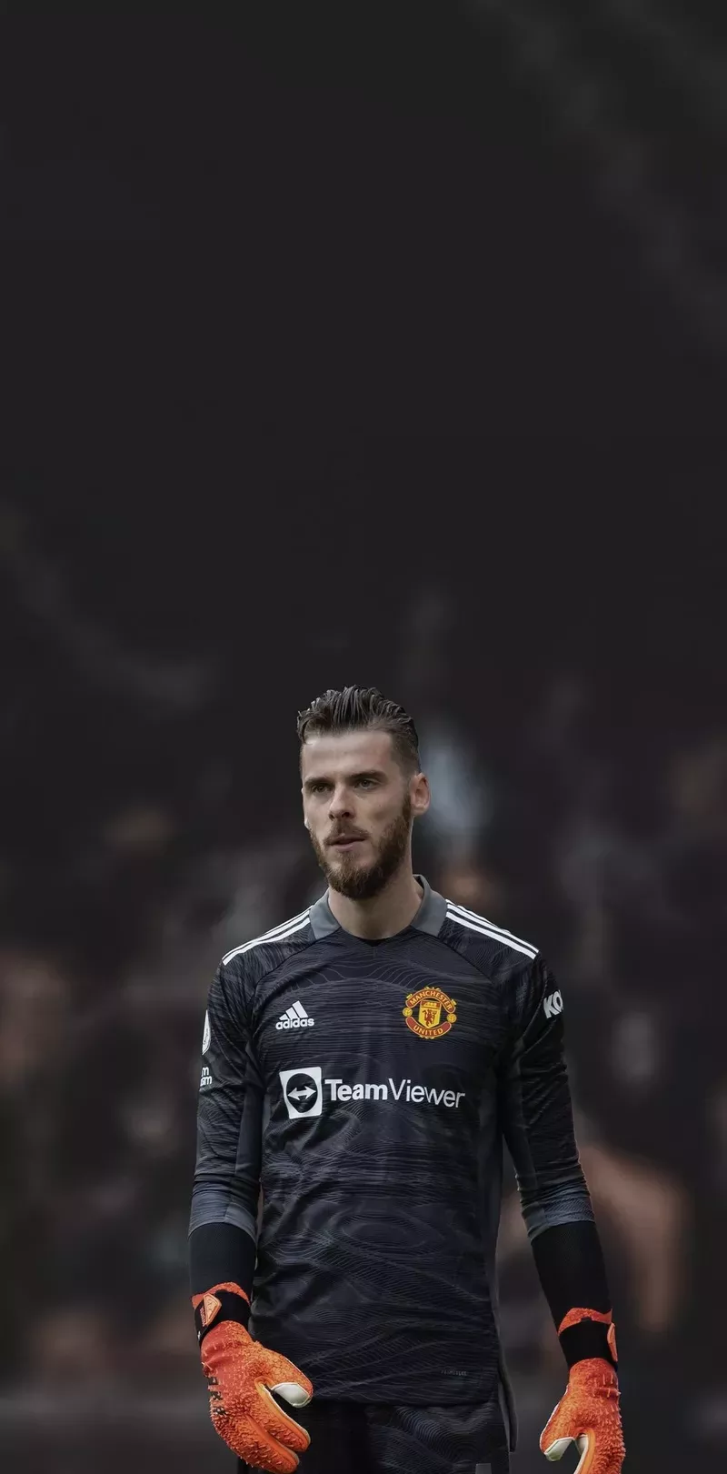 hình nền de gea 45