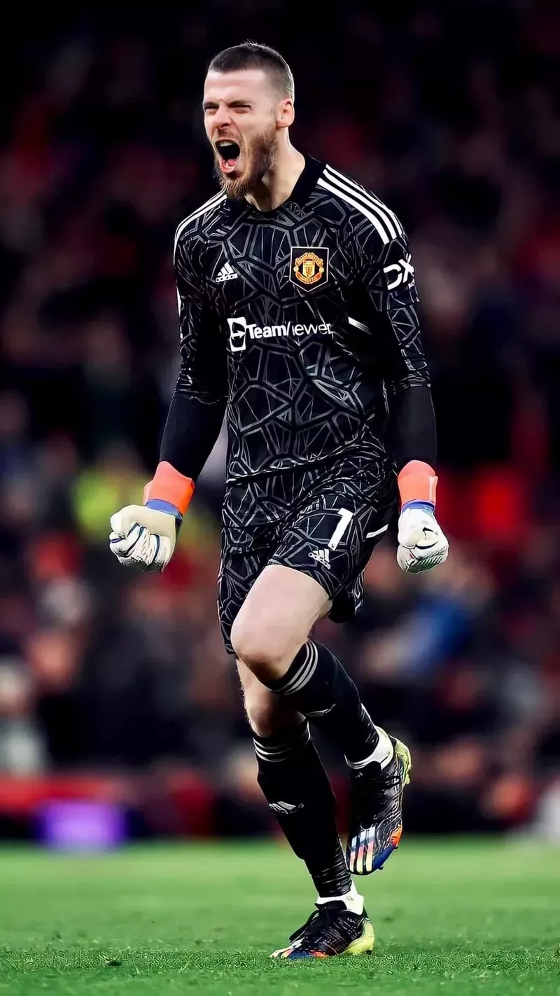 hình nền de gea 47