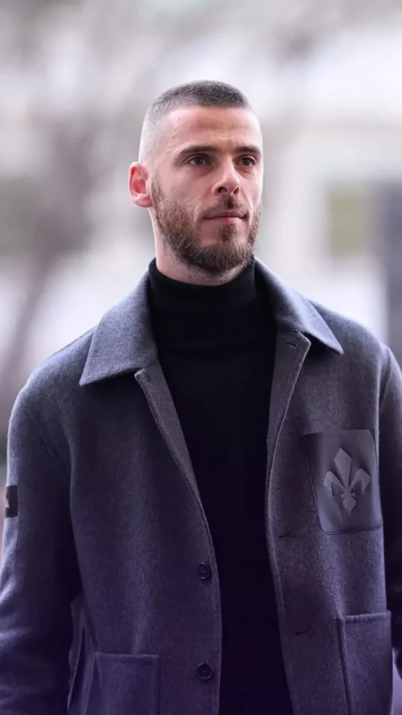 hình nền de gea 5