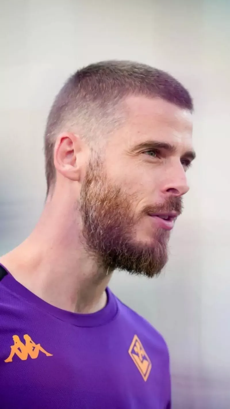 hình nền de gea 6