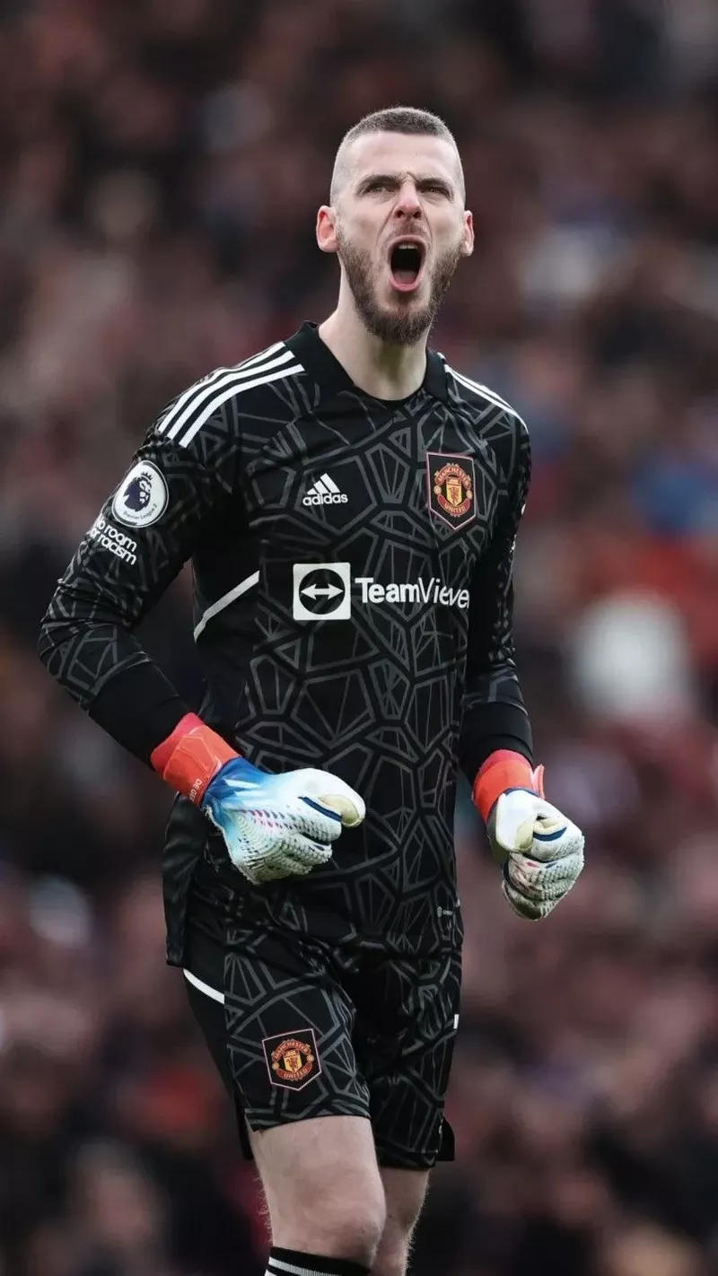 hình nền de gea 9