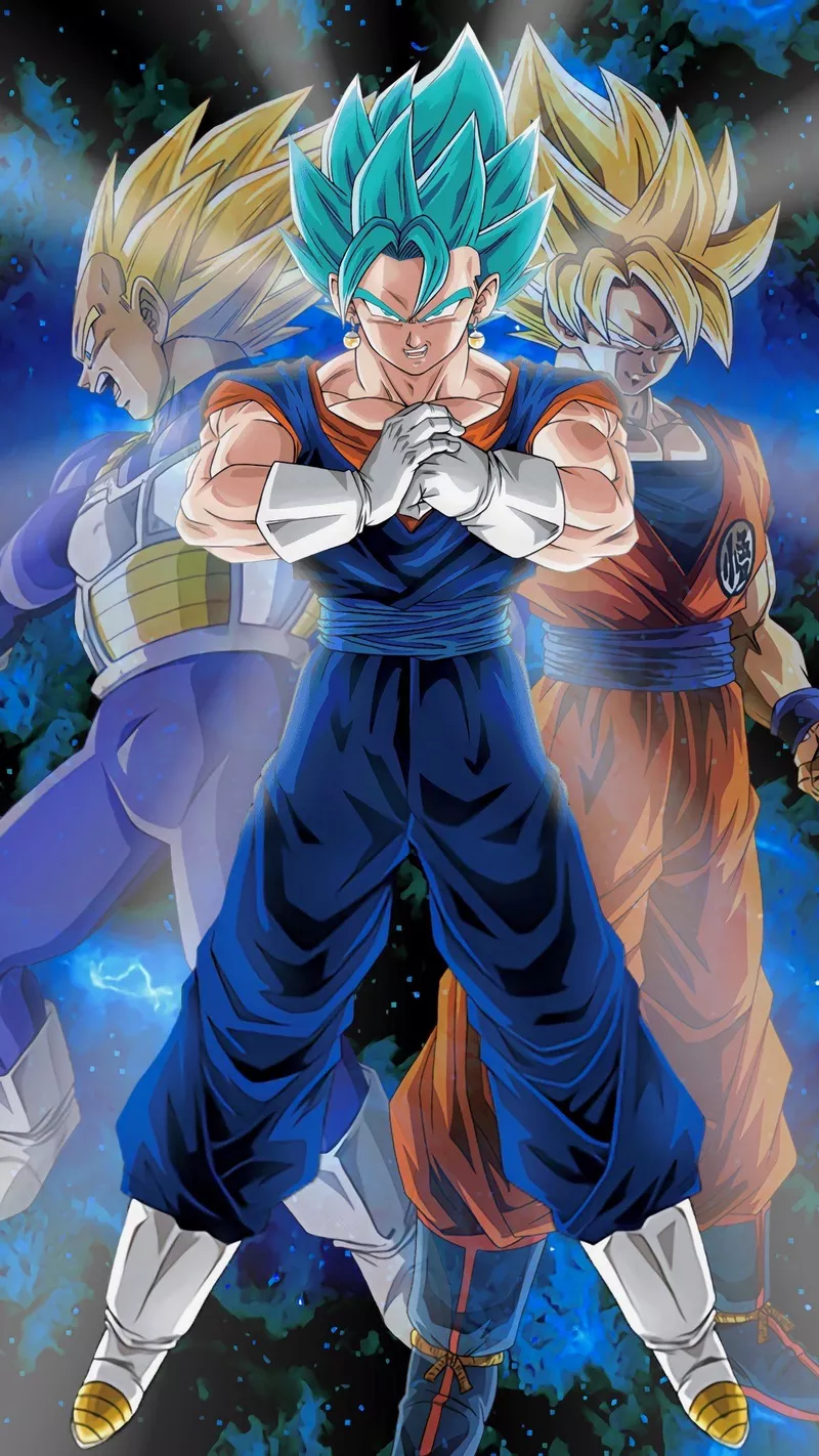 dragon ball super 29